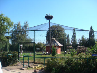 Le par d'attractions Cigoland à Kintzheim