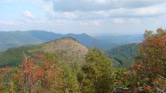 Vue panoramique sur le Donon