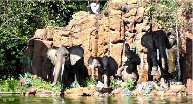 L'île aus éléphants à Europa-Park Rust