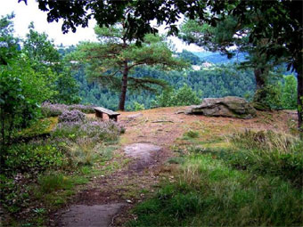 Der Gipfel der Falkenfels