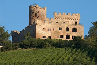 Le ch&acirc;teau de Kintzheim