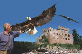 La volerie aux aigles de Kintzheim