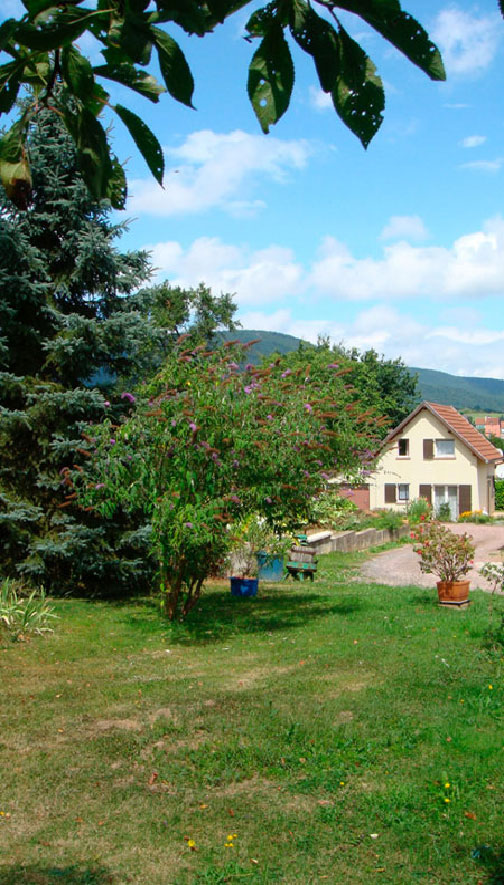 Le gîte et l'arbre à papillons.