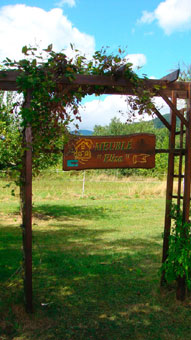 Pergola du g�te en Alsace