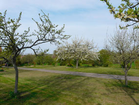 Location, Bas-Rhin, Vosges, gîtes près d'Obernai