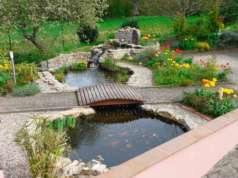 bassin de jardin feng shui