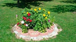 Blumen bei Ferienhaus Elisa im Elsass