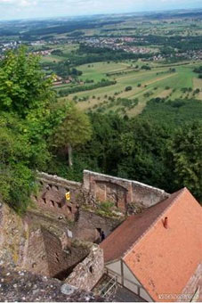 Panorama à partir du château du Haut-Barr