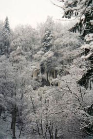 Gîtes Alsace - Forêt d'Alsace en hiver