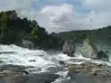 Les chutes du Rhin à Schaffhausen