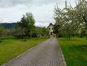 Das Gelände der Eigentümer-Ferienhaus Elisa im Elsass