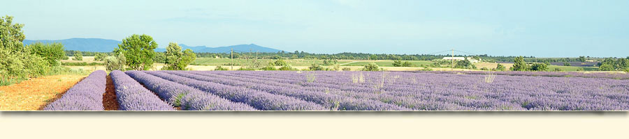 Images des Alpes de Haute Provence