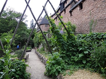 Jardin médiéval du Haut-Koenigsbourg en Alsace
