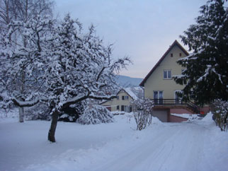 Gîtes en Alsace - Vue sur la propriété en hiver