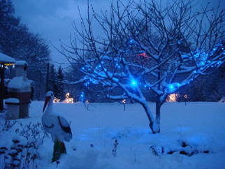 Illuminations de Noël au Gite en Alsace - la cigogne