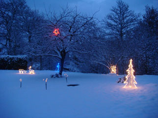 Illuminations de Noël au Gîte en Alsace - le jardin