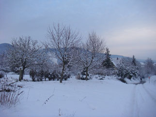 Gites en Alsace - Le quartier Misselrain en hiver